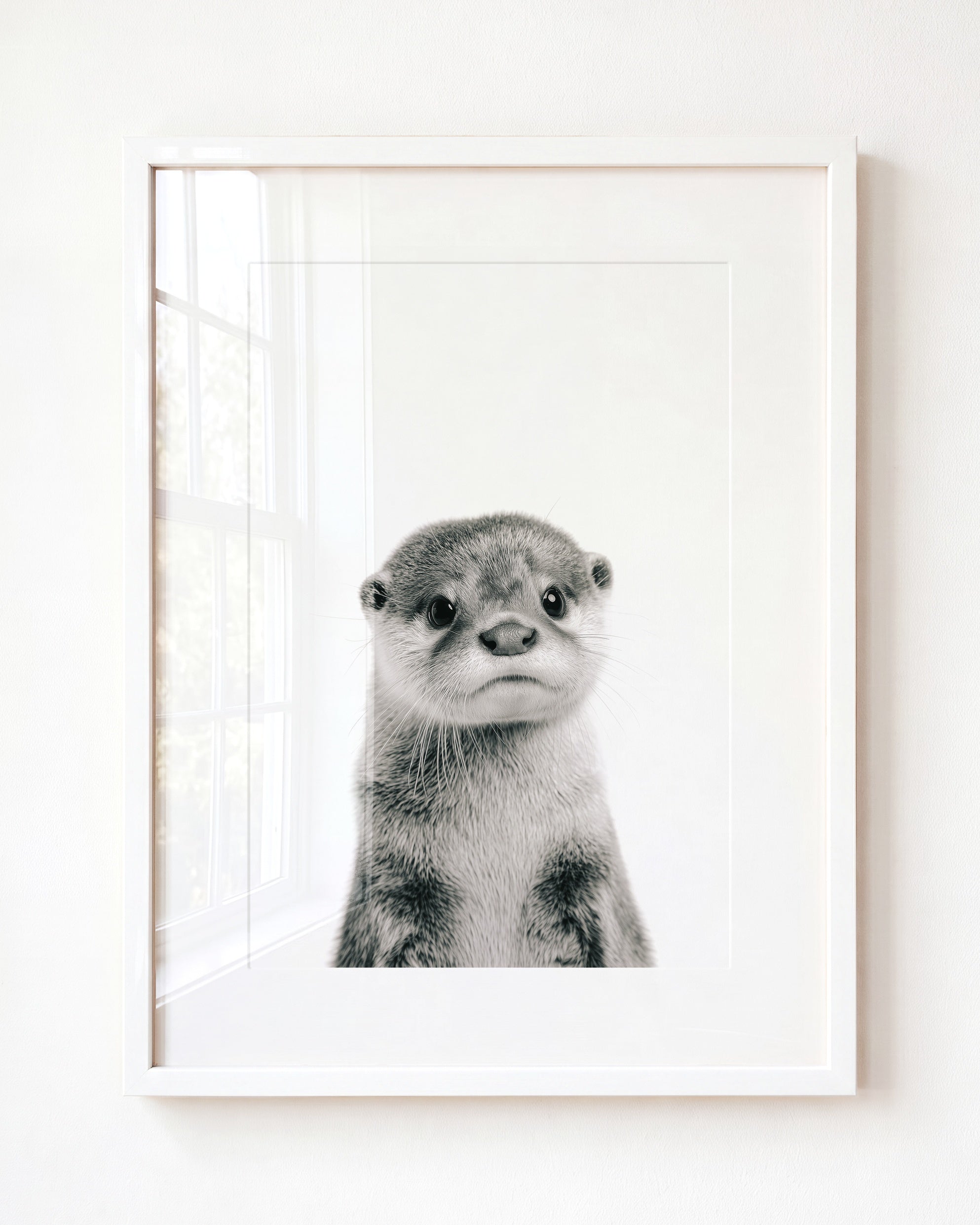 Baby Otter