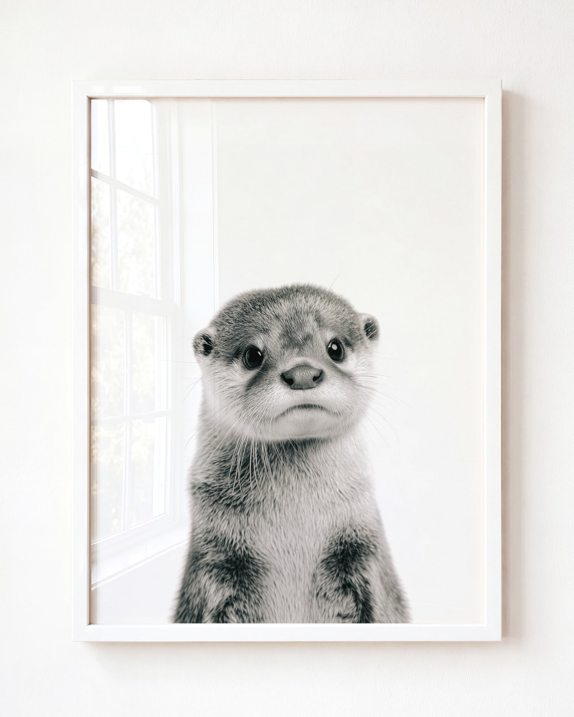 Baby Otter