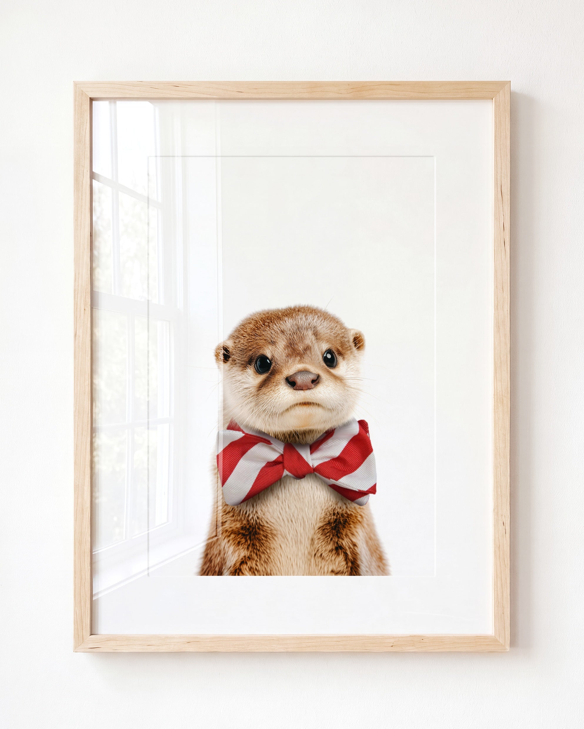 Baby Otter