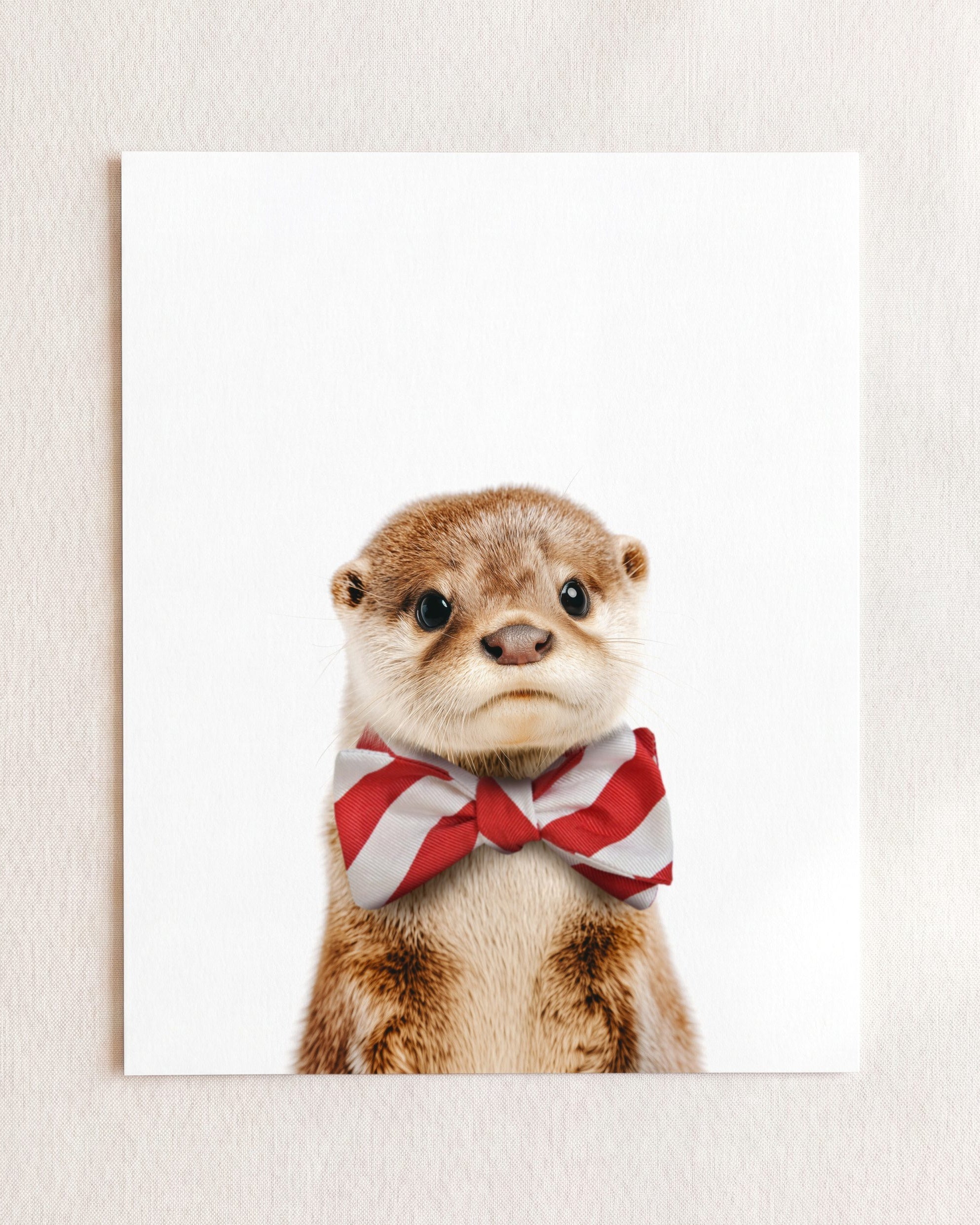 Baby Otter