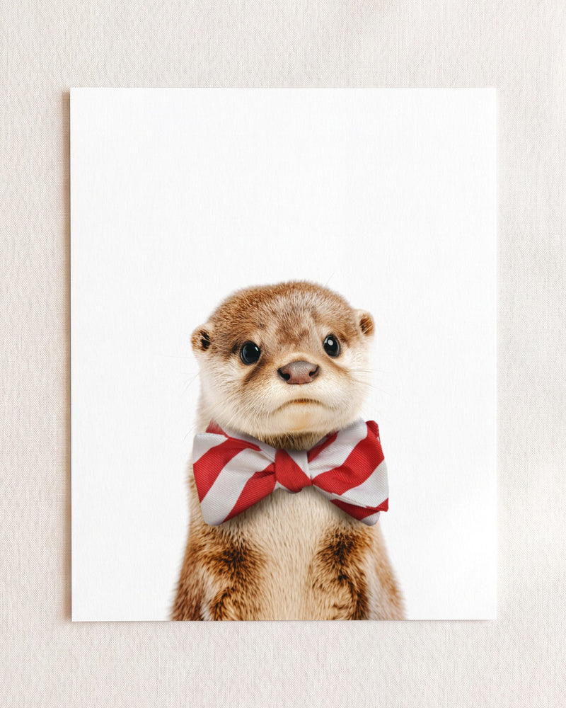 Bow Tie