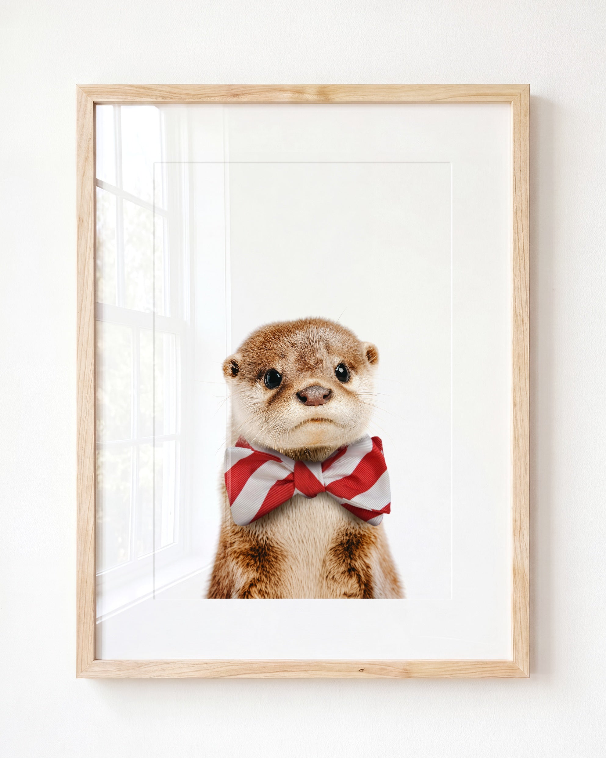 Baby Otter
