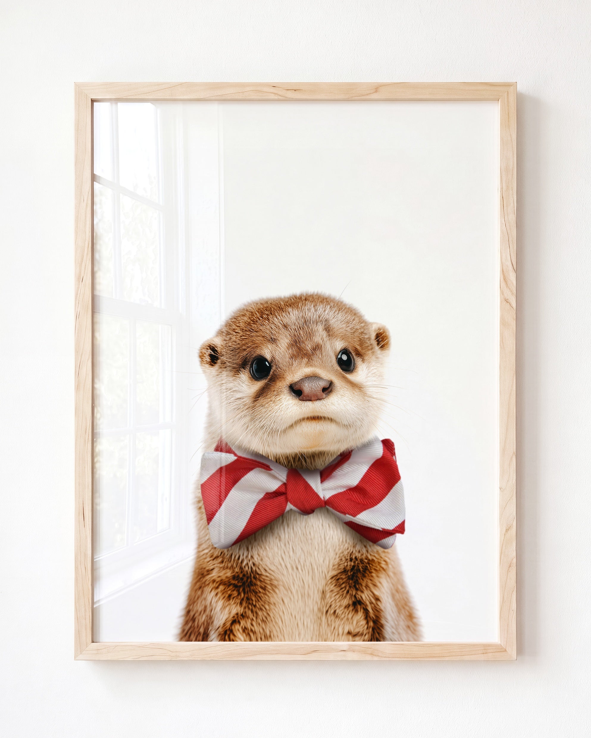 Baby Otter