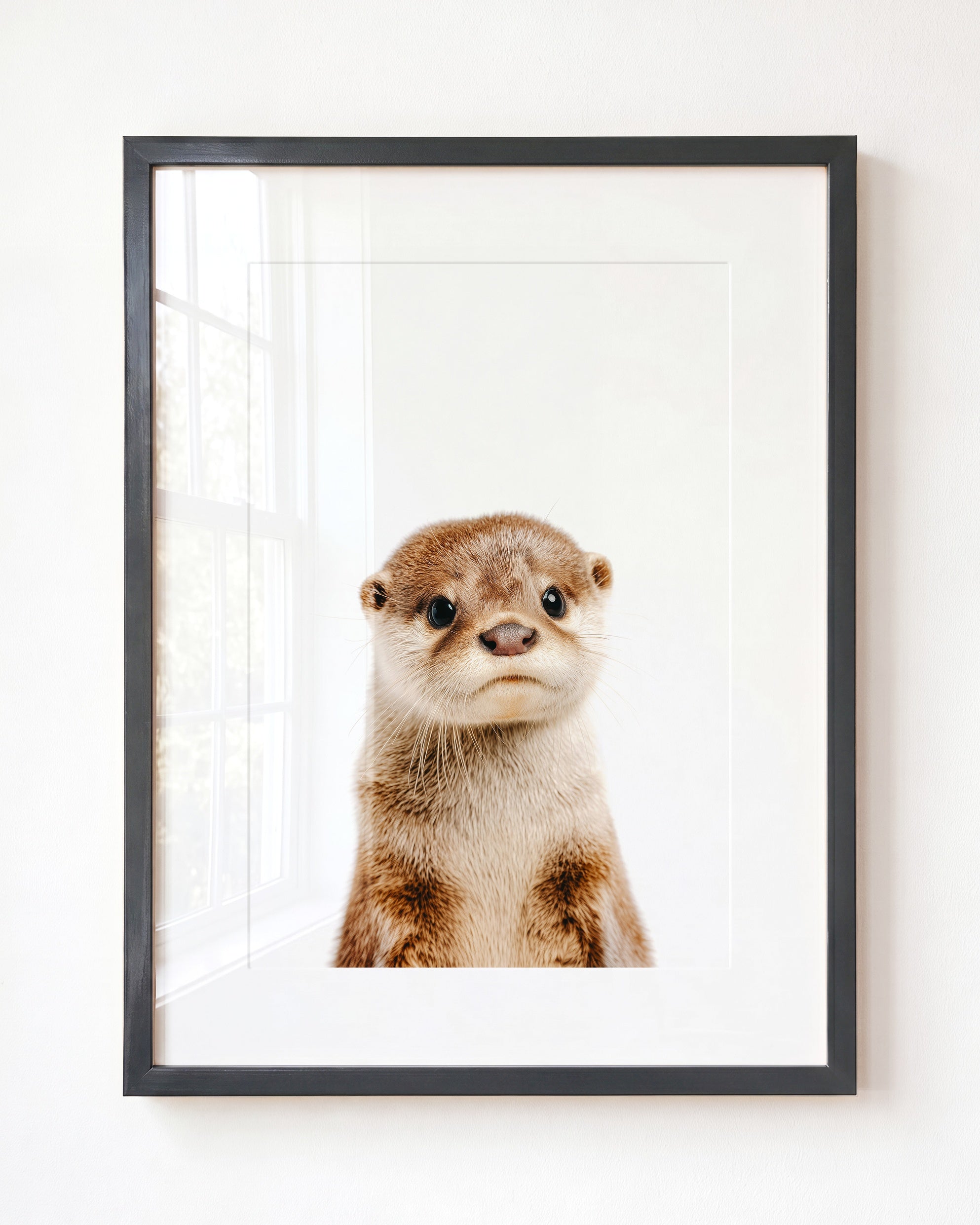 Baby Otter