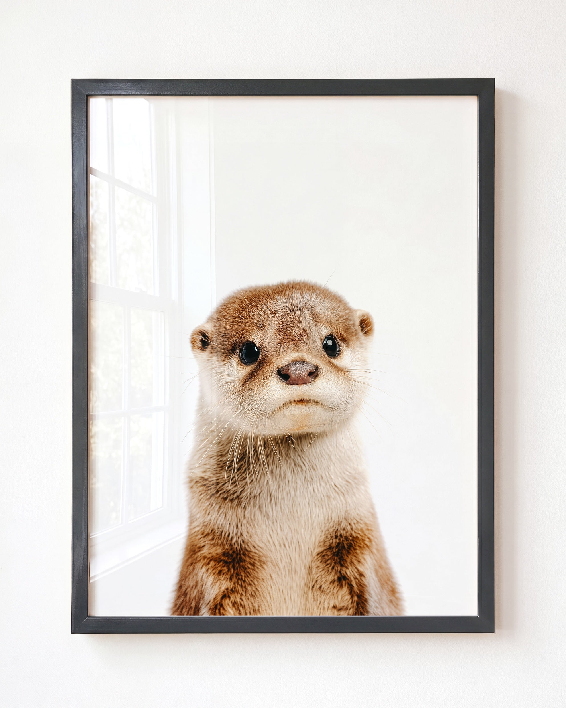Baby Otter