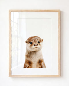 Baby Otter