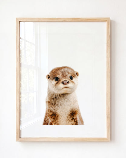 Baby Otter