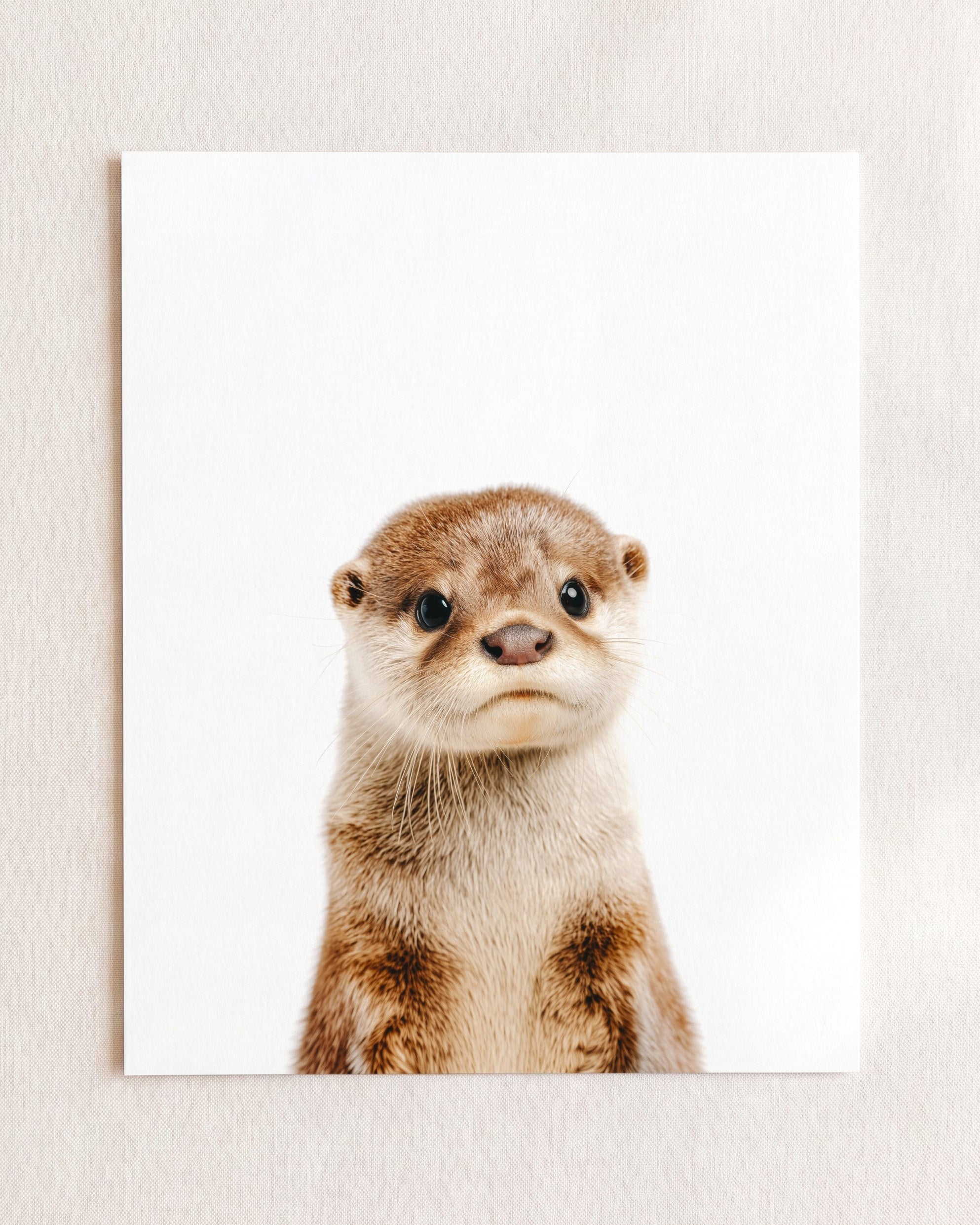 Baby Otter