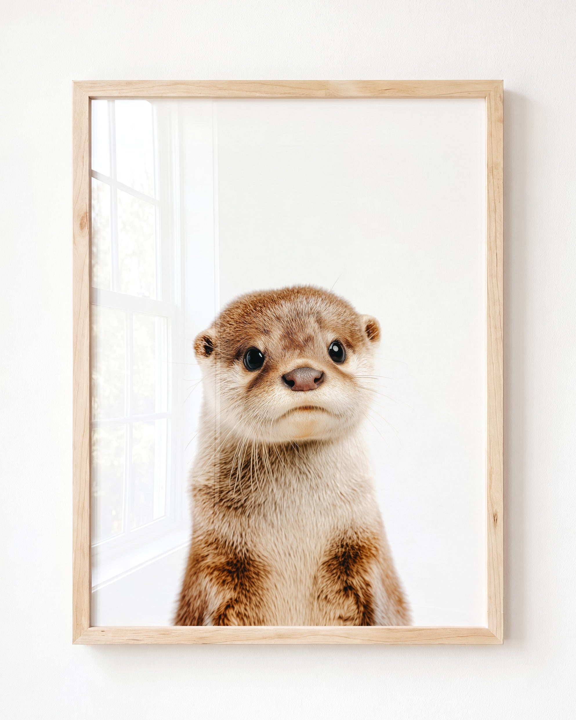 Baby Otter