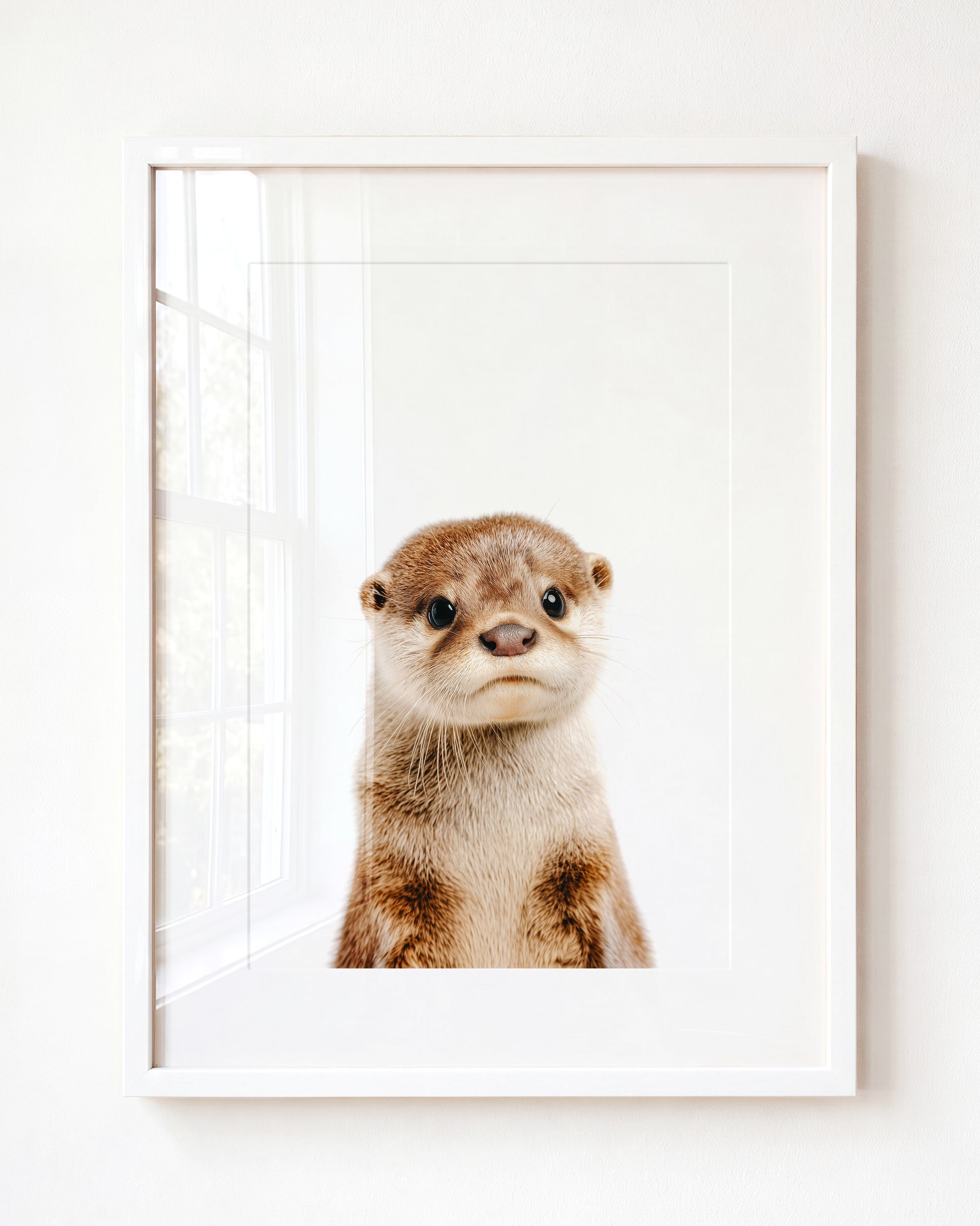 Baby Otter