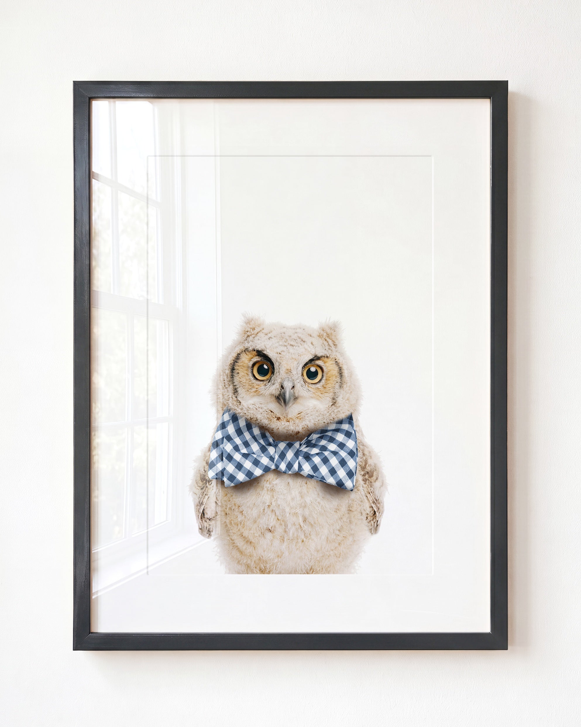 Baby Owl