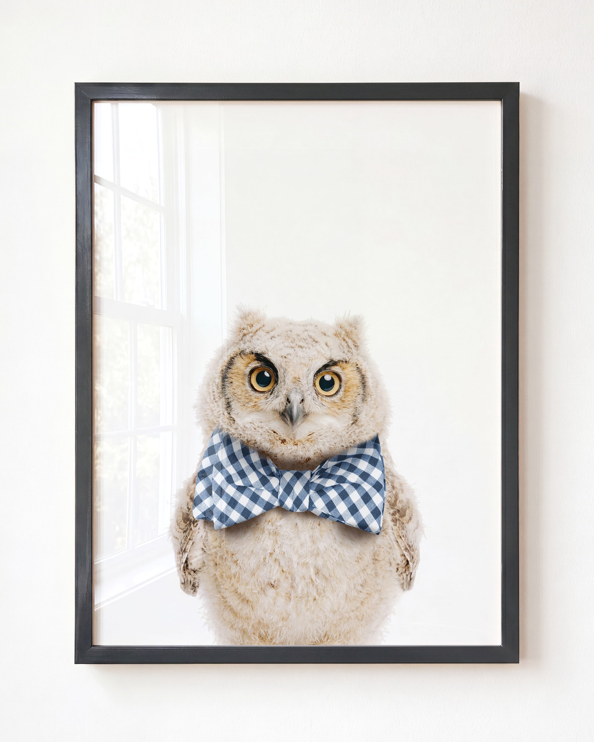 Baby Owl