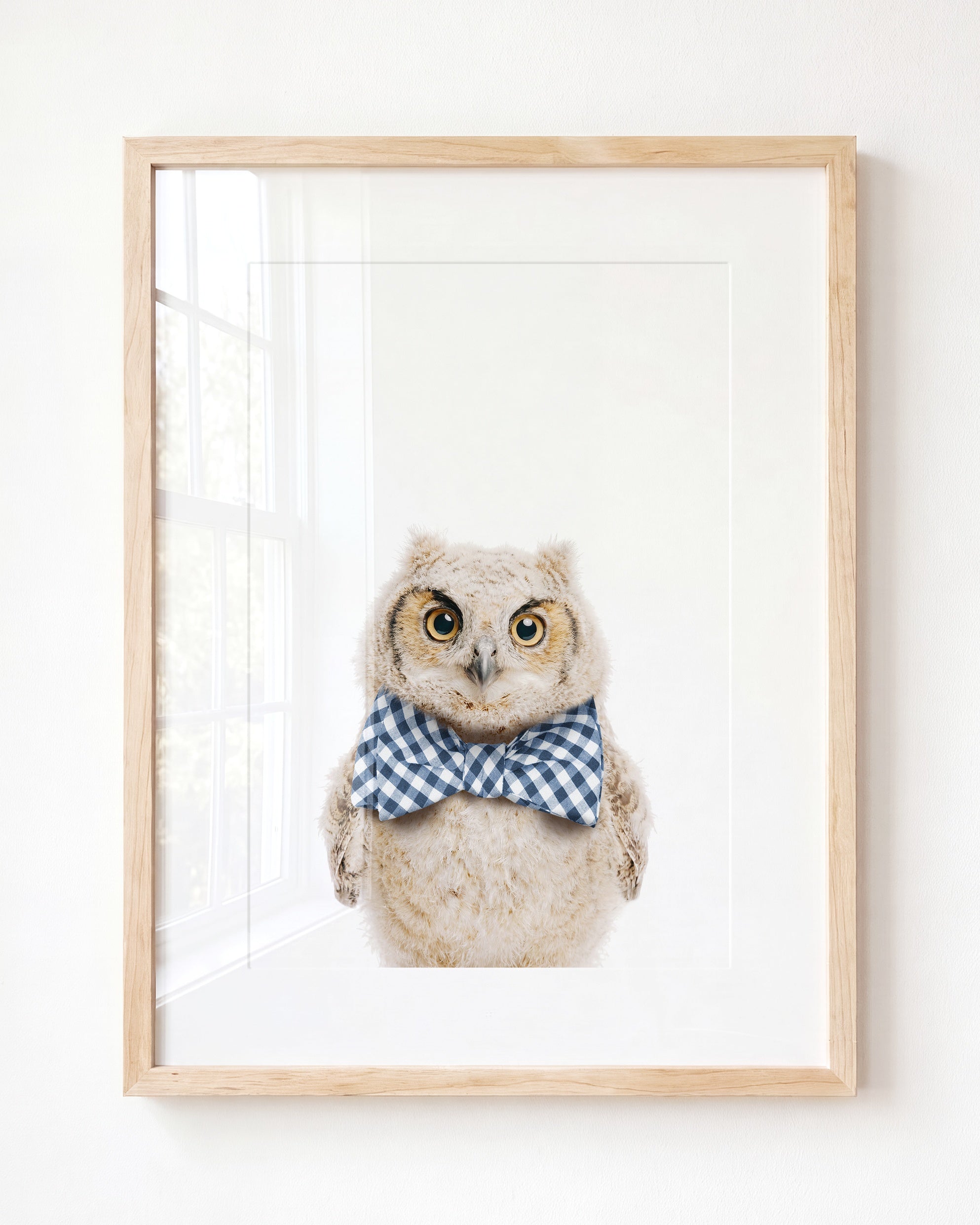 Baby Owl