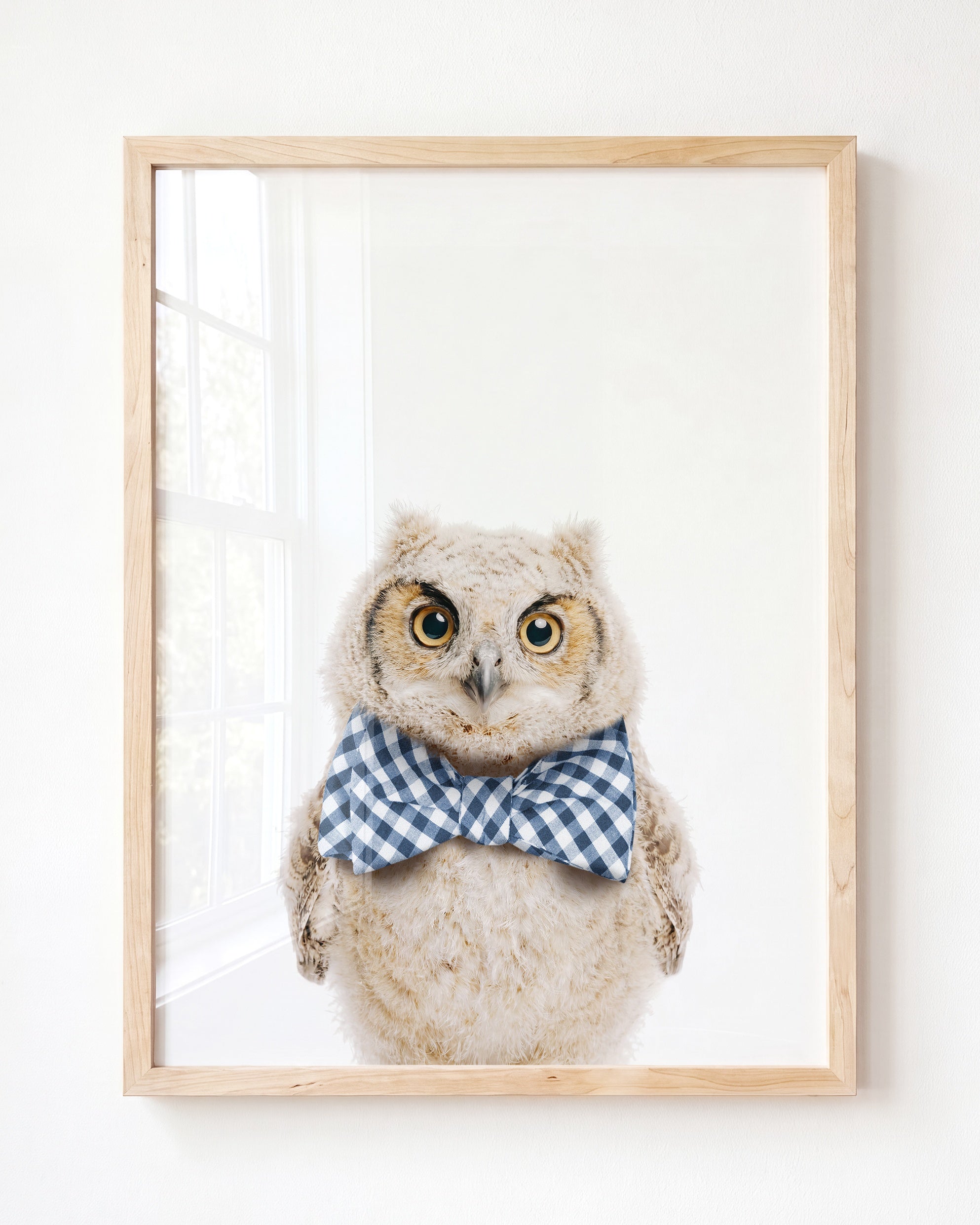 Baby Owl