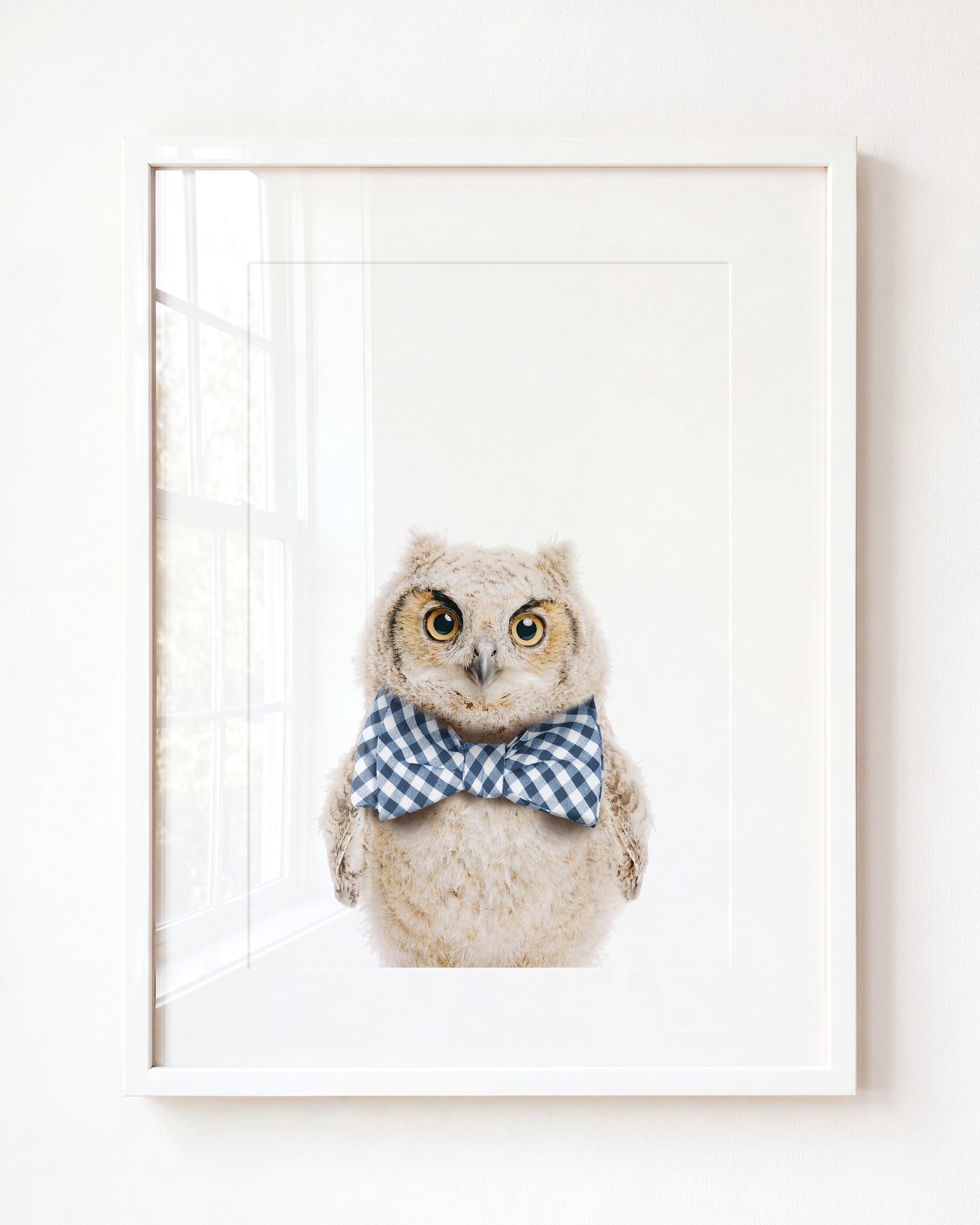 Baby Owl