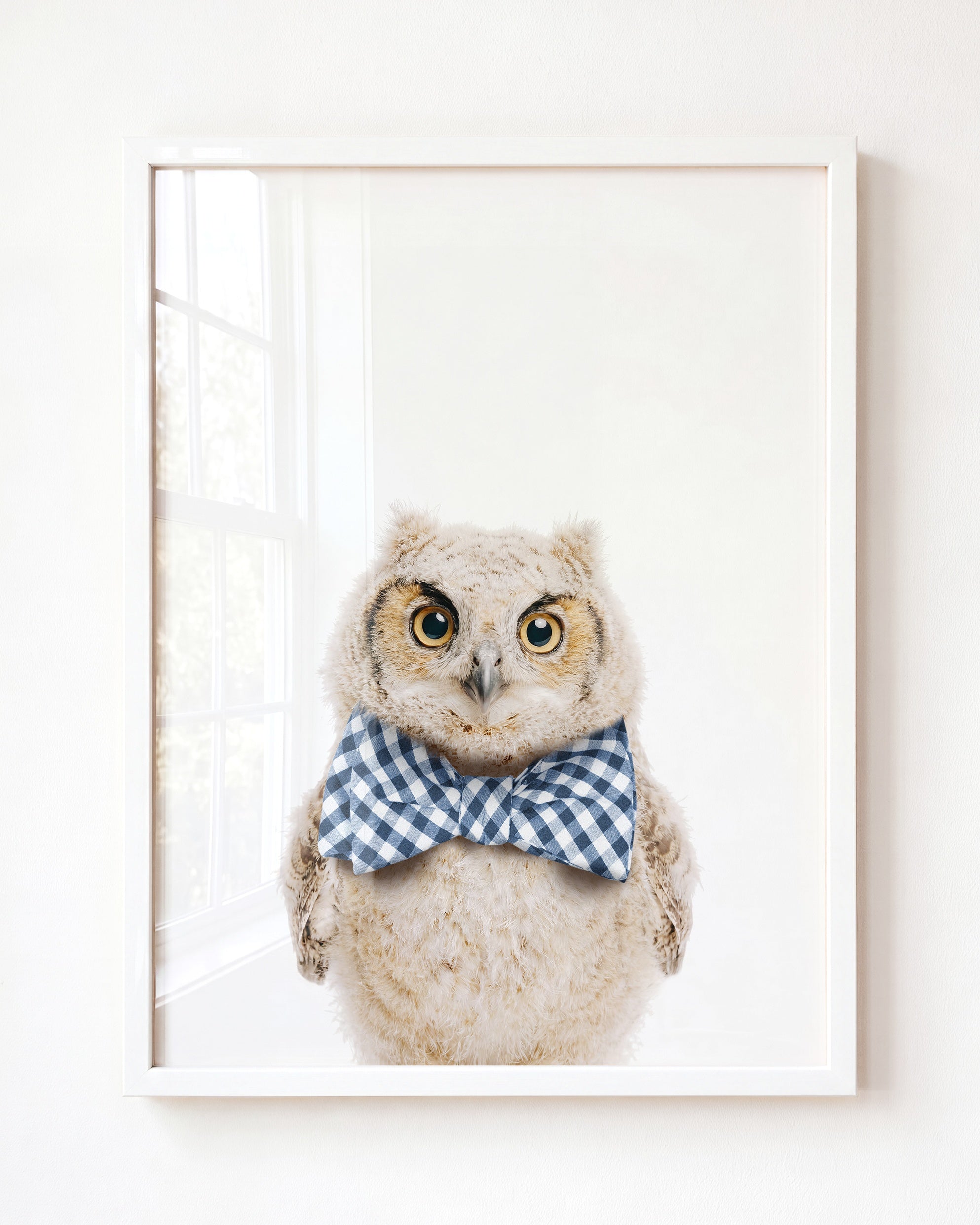 Baby Owl