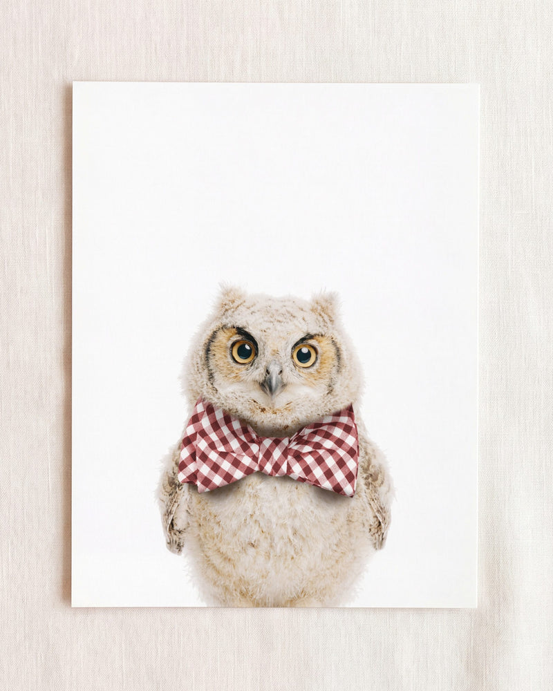 Bow Tie