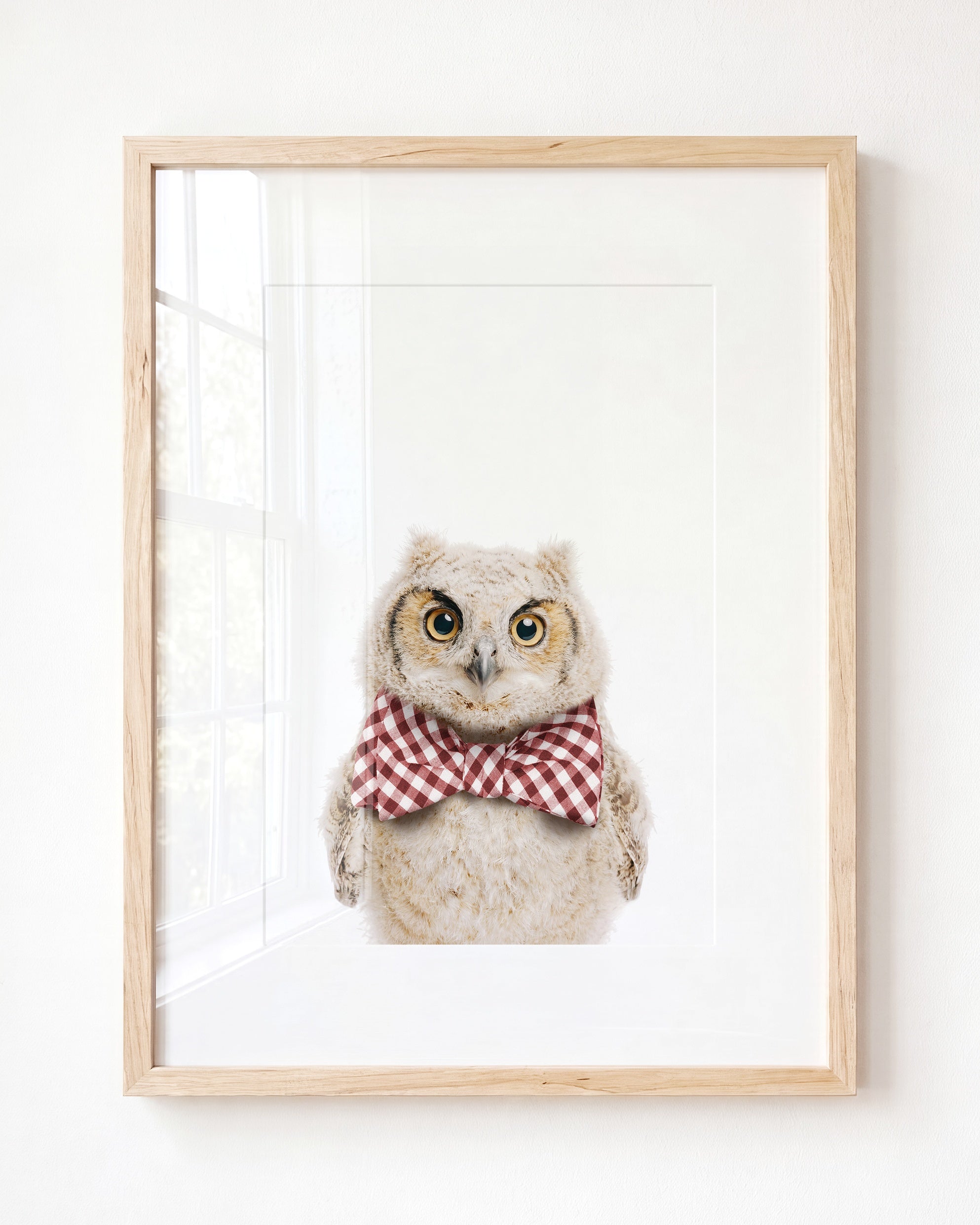 Baby Owl
