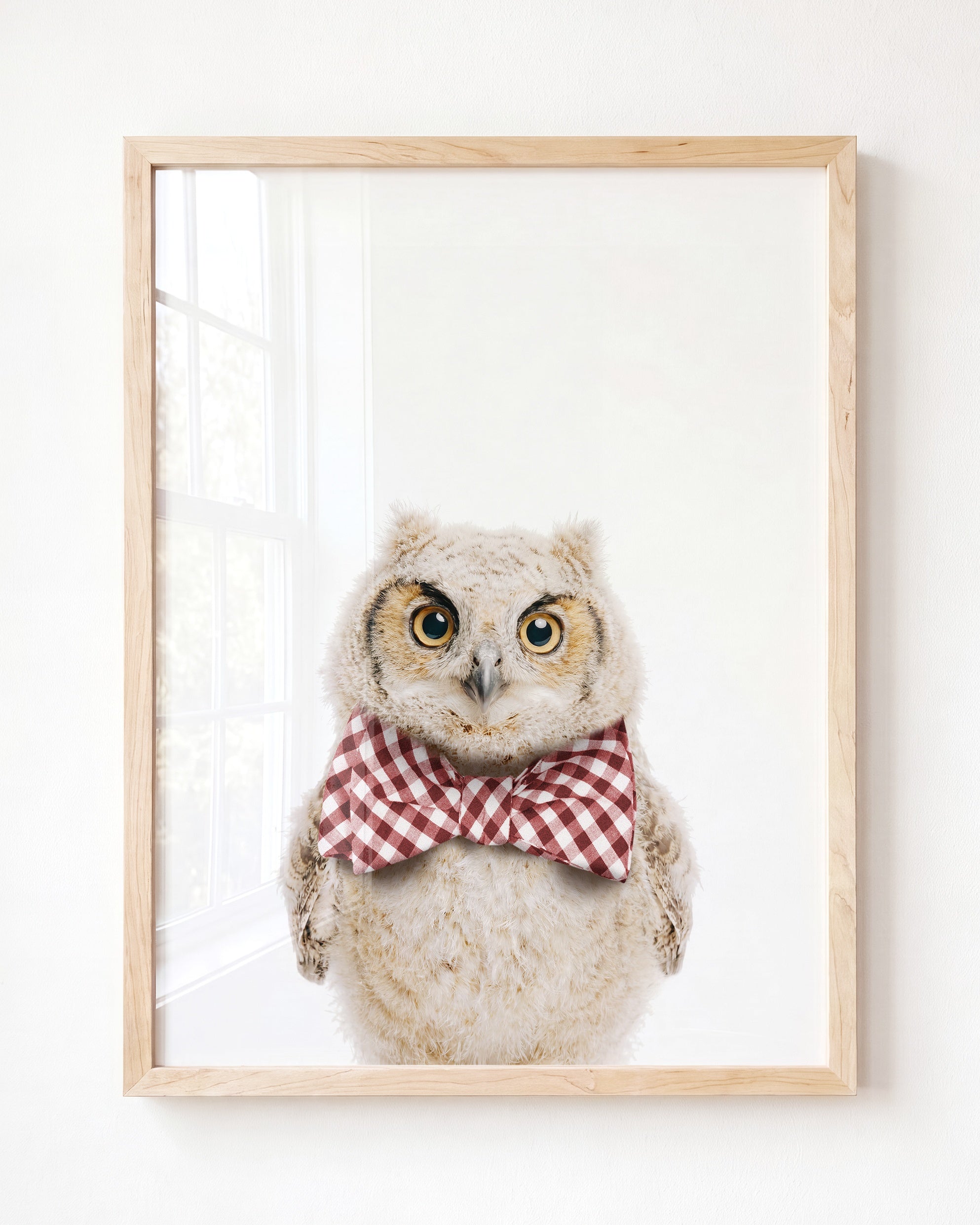 Baby Owl