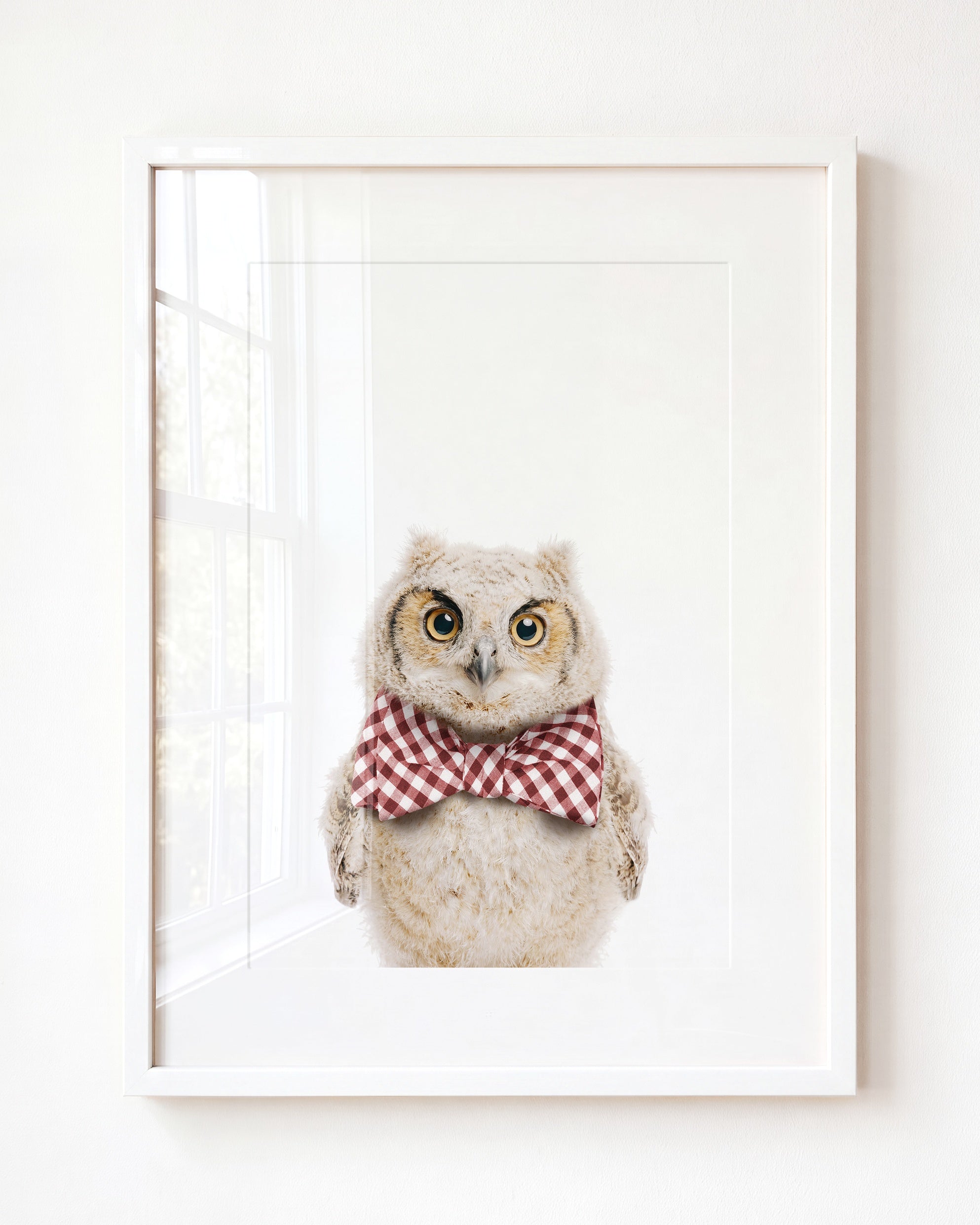 Baby Owl