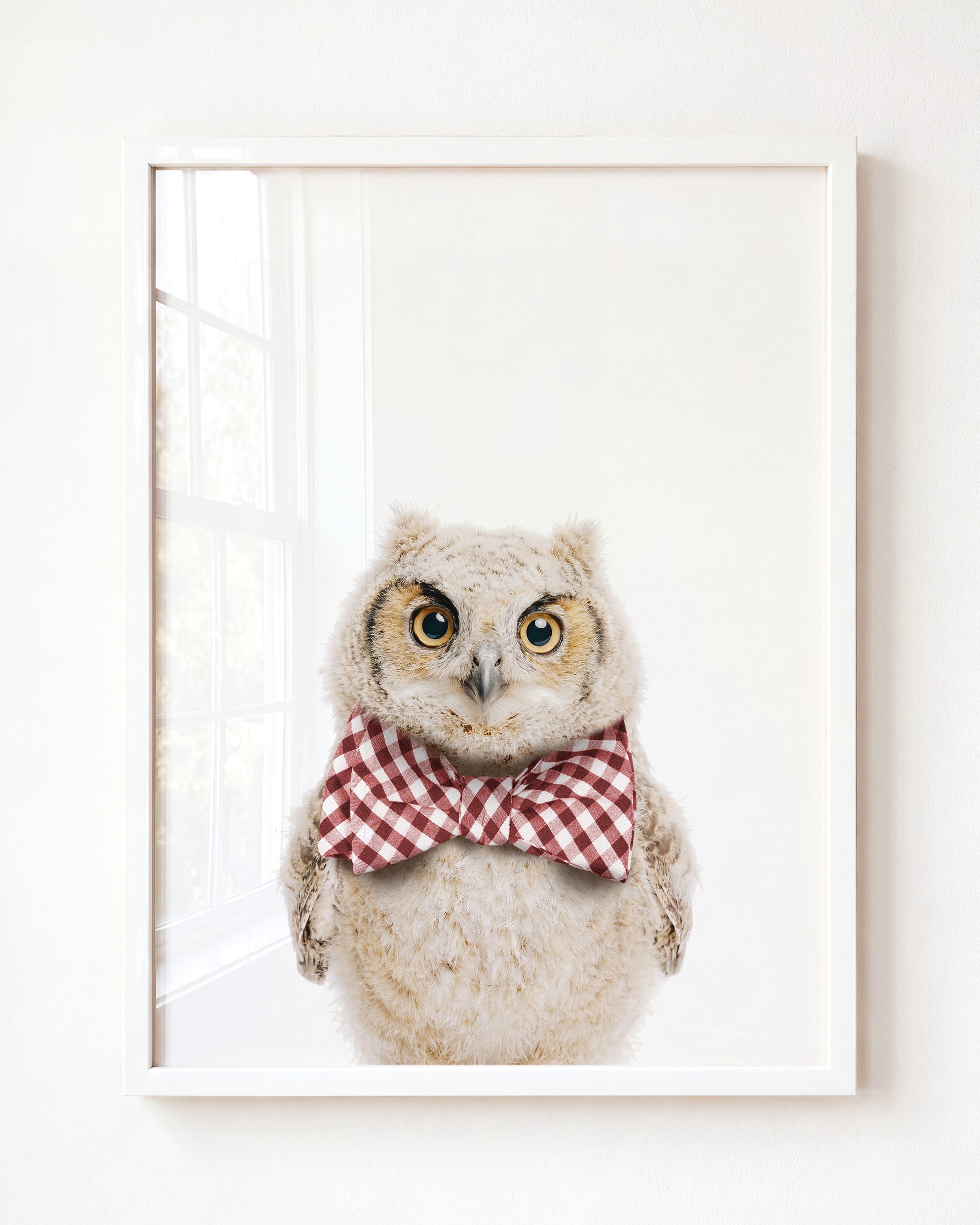 Baby Owl