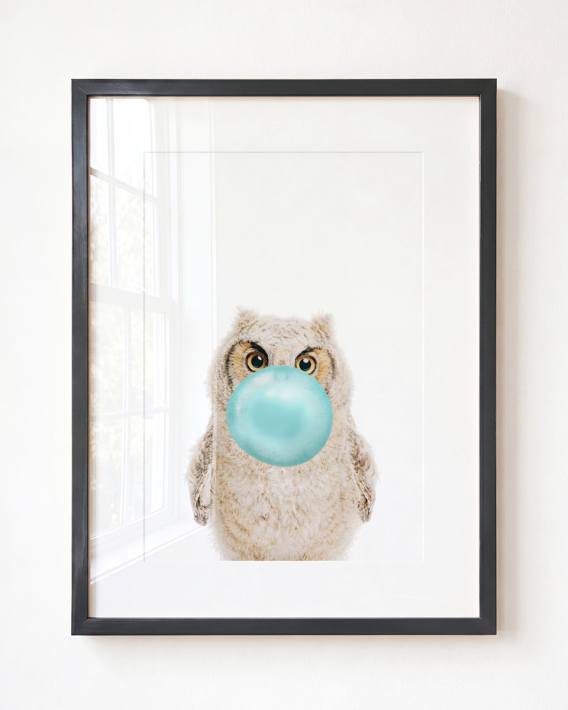Baby Owl
