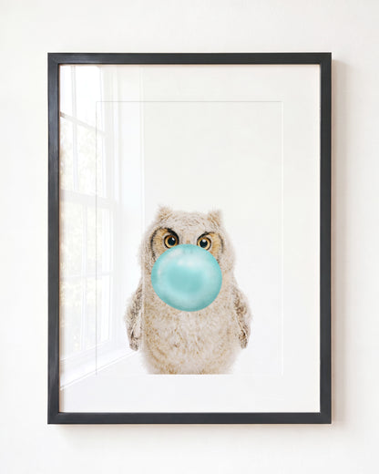 Baby Owl