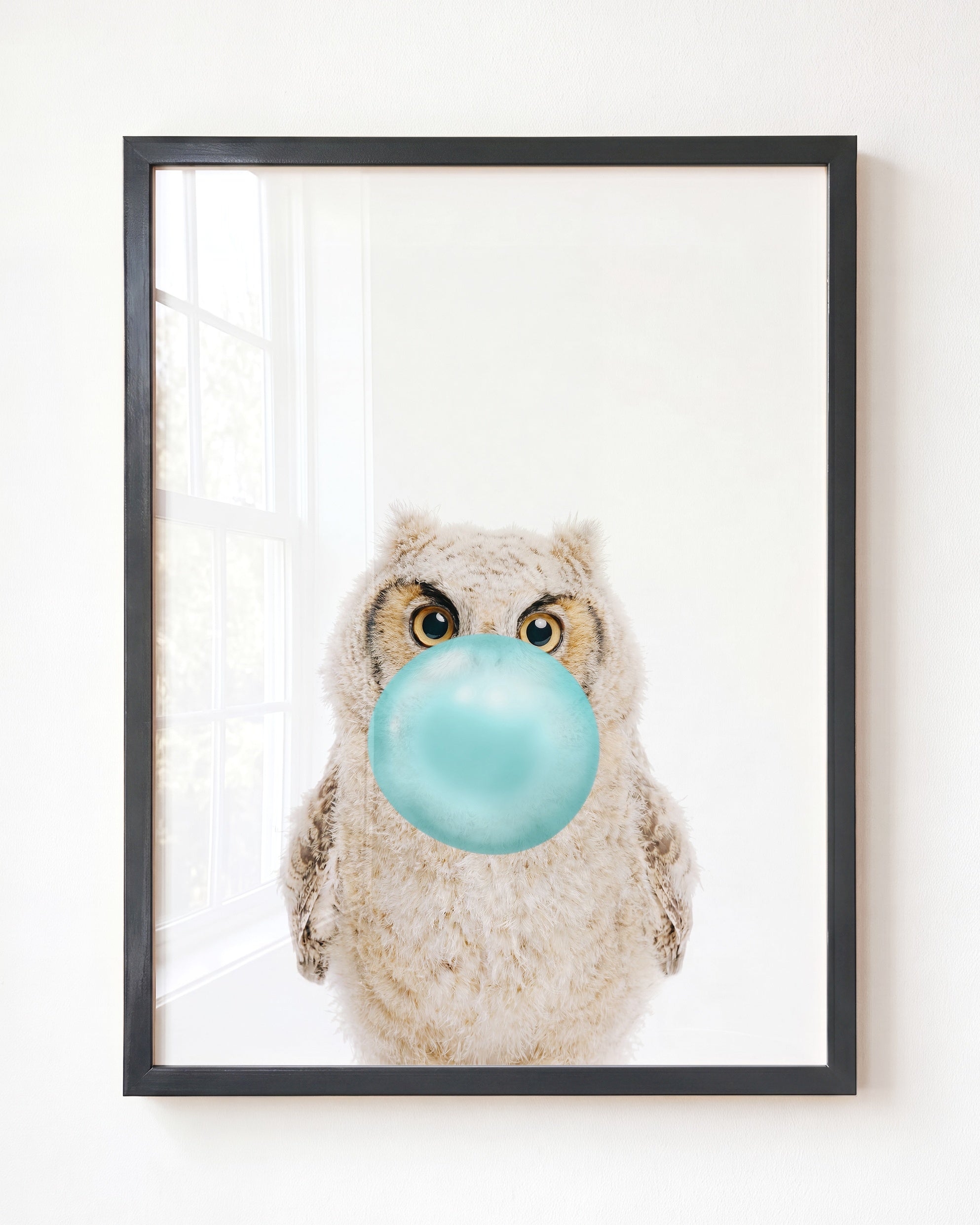 Baby Owl