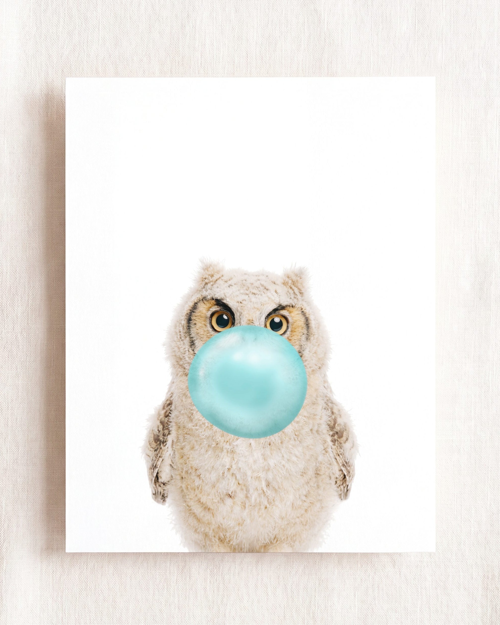 Baby Owl
