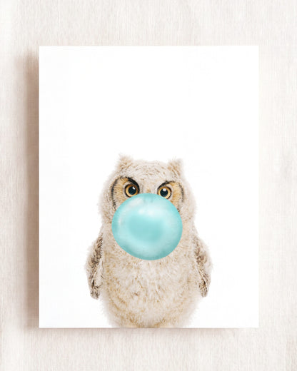 Baby Owl
