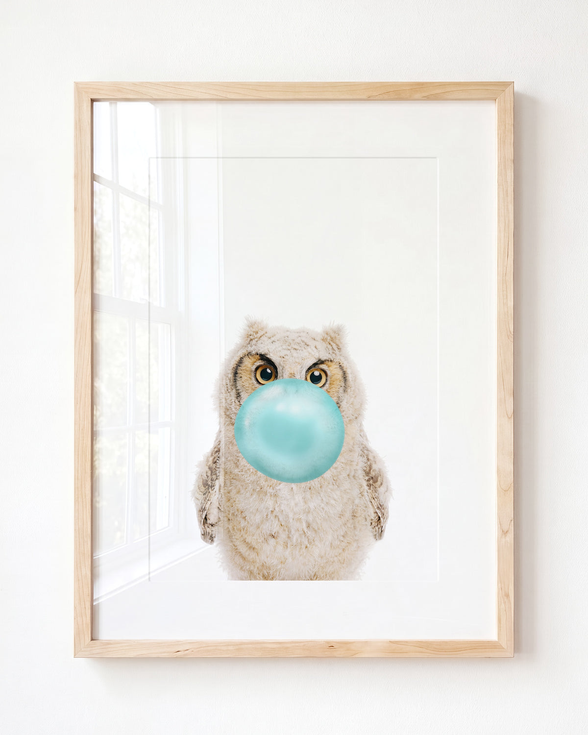 Baby Owl