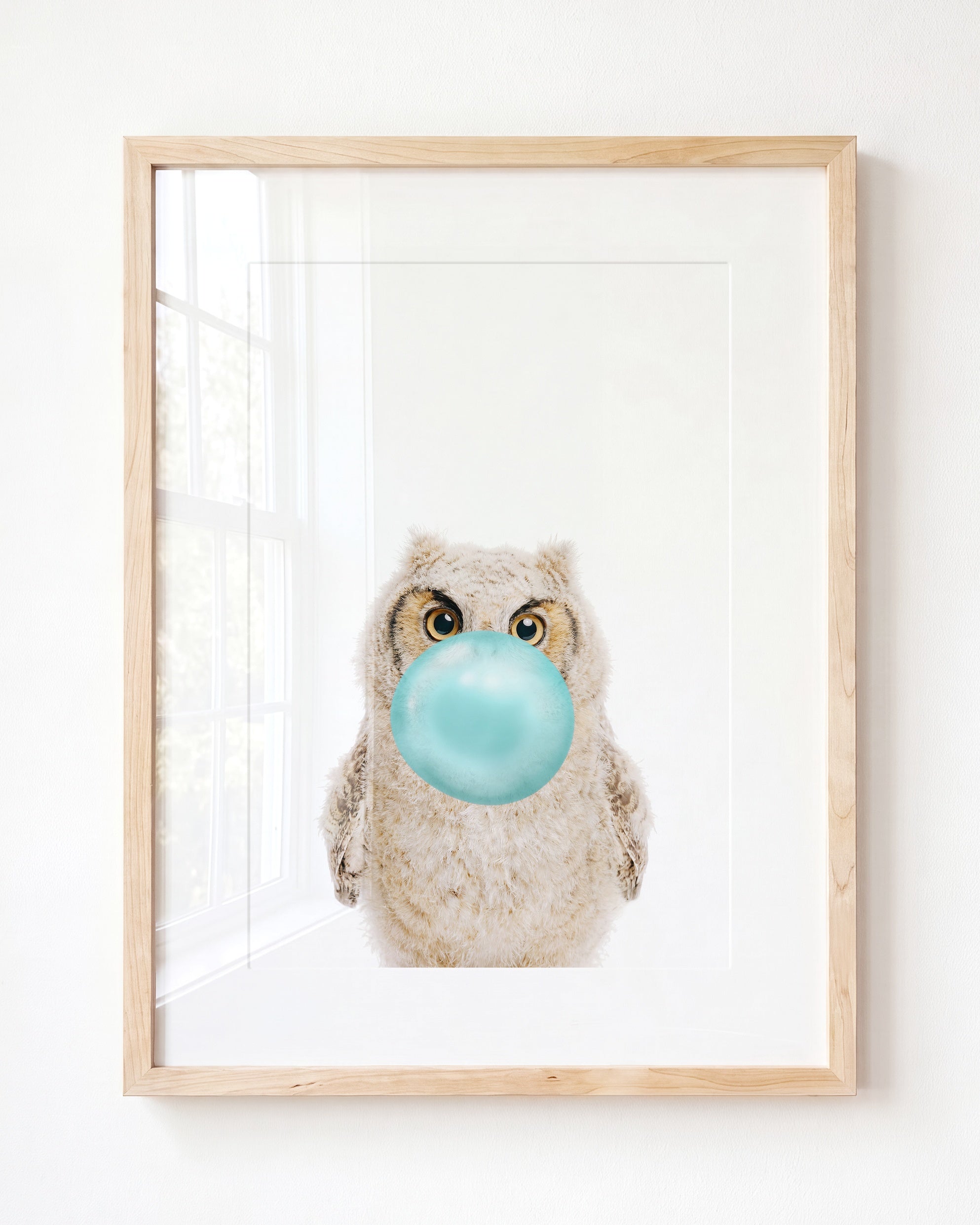 Baby Owl