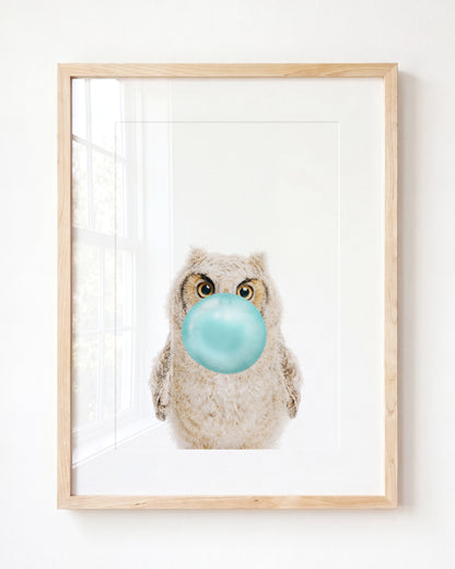 Baby Owl
