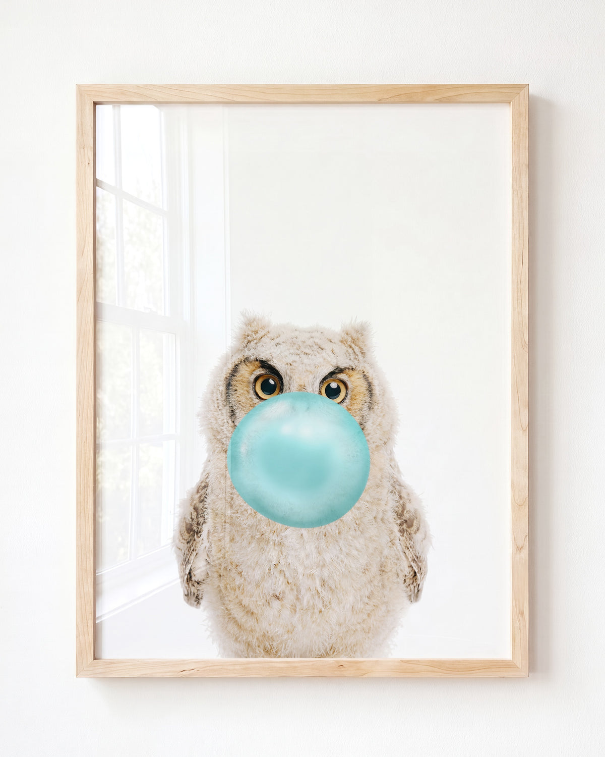 Baby Owl
