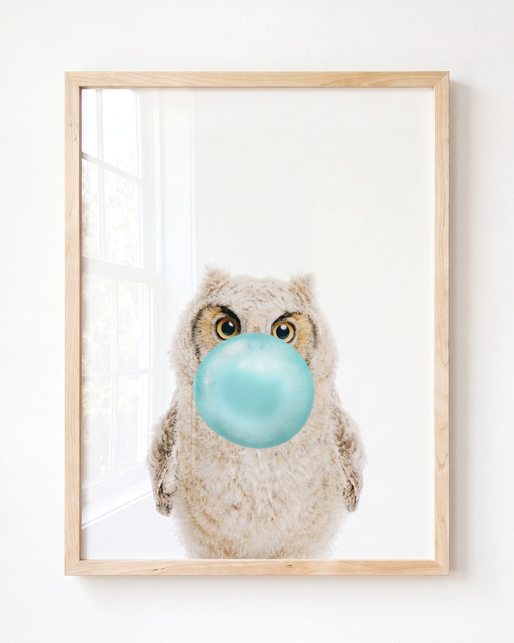 Baby Owl