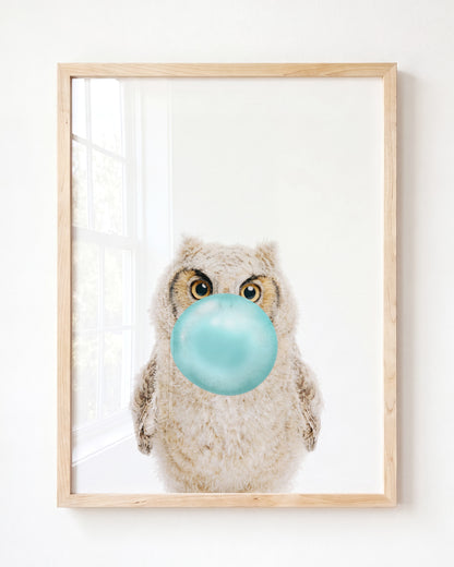 Baby Owl