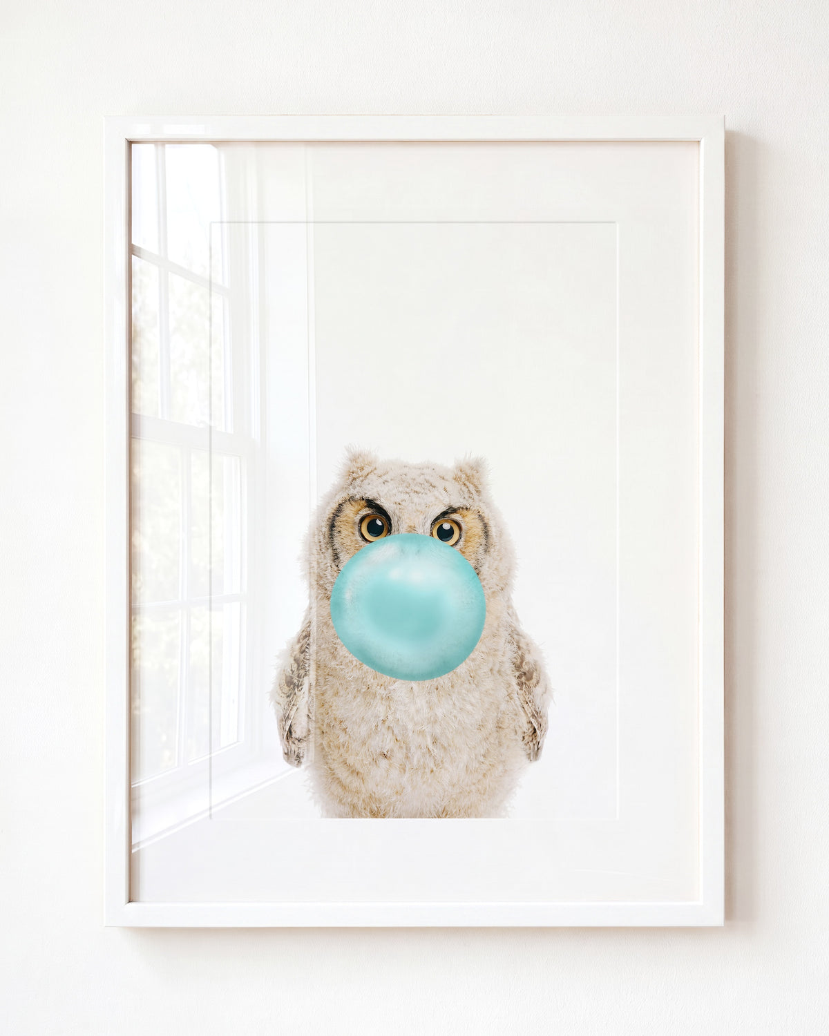 Baby Owl