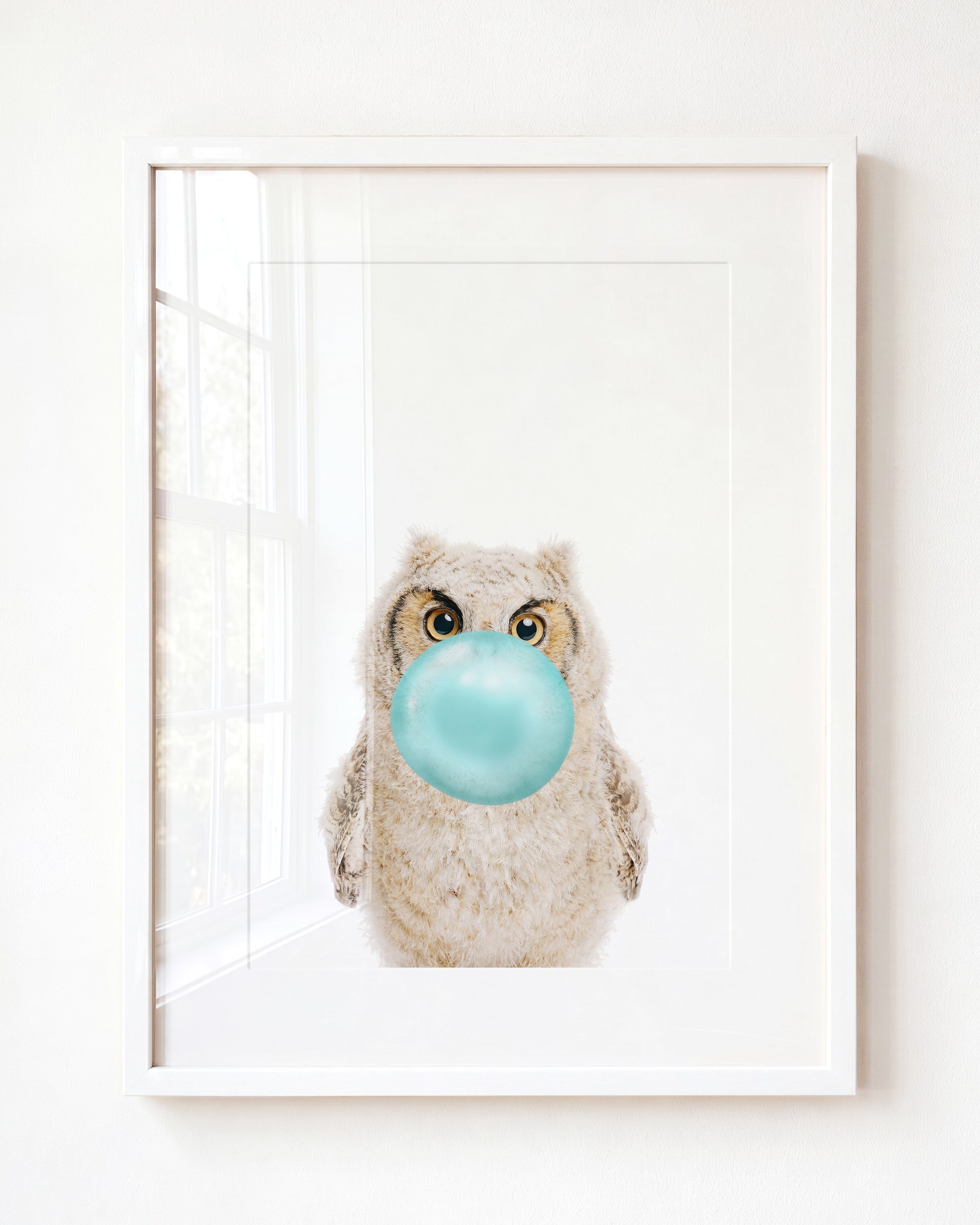 Baby Owl