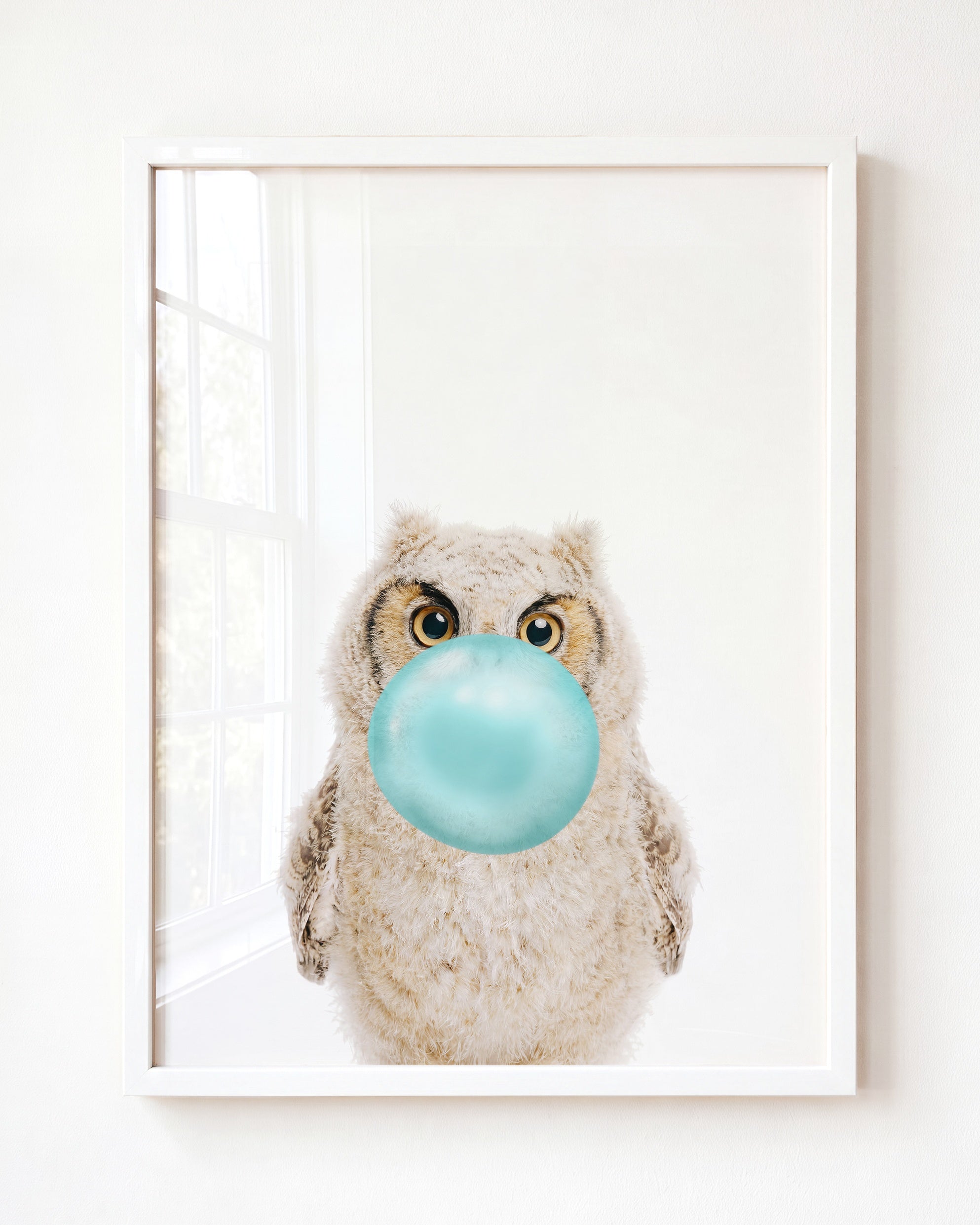 Baby Owl