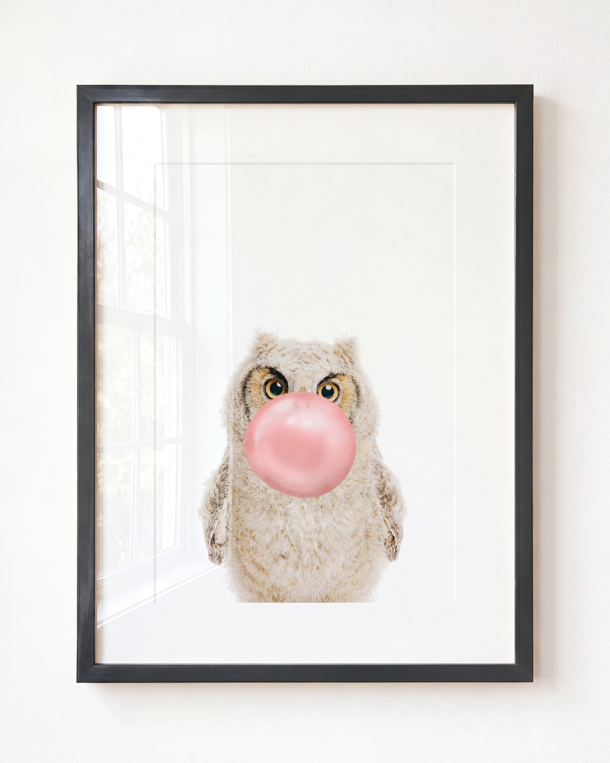 Baby Owl