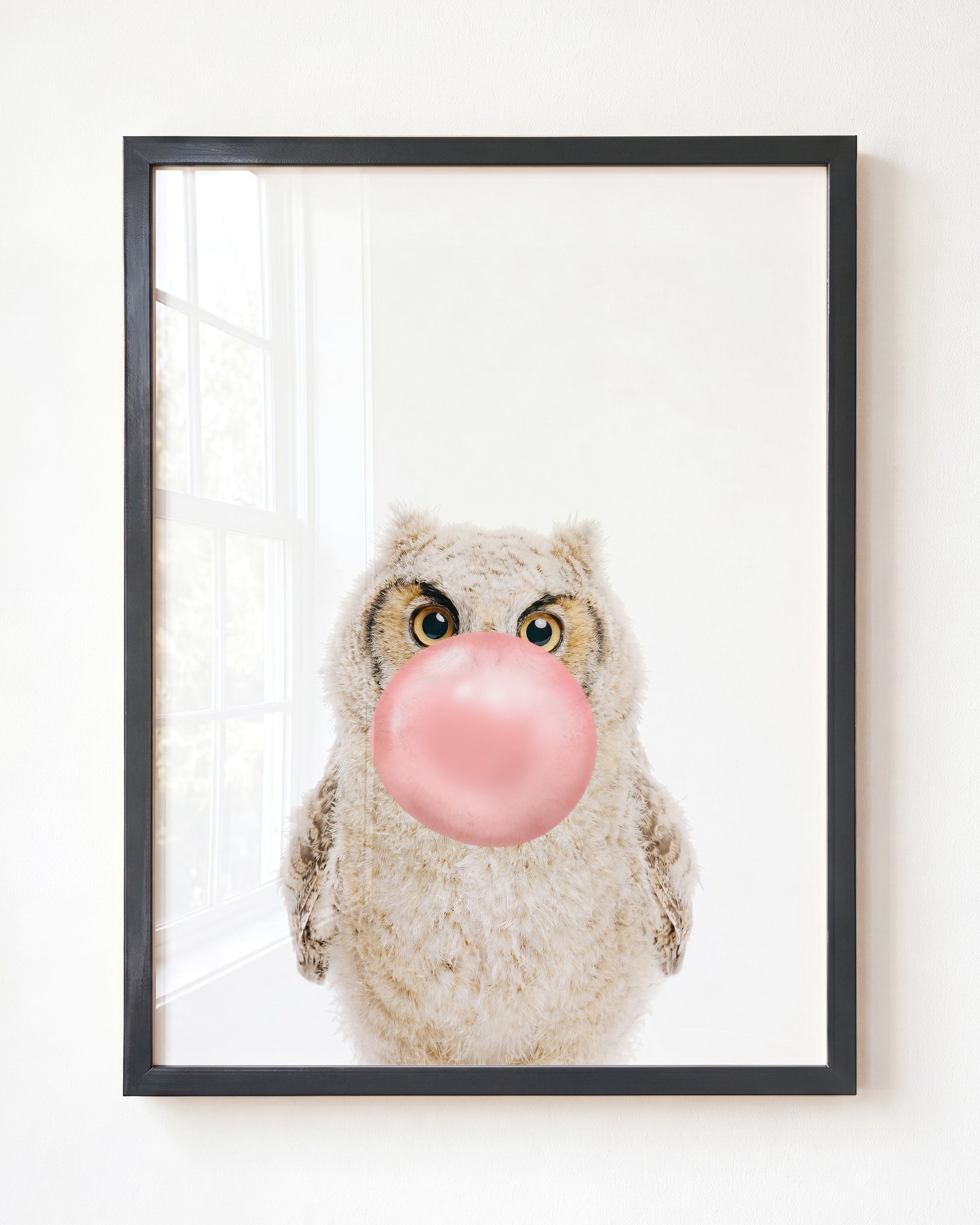 Baby Owl