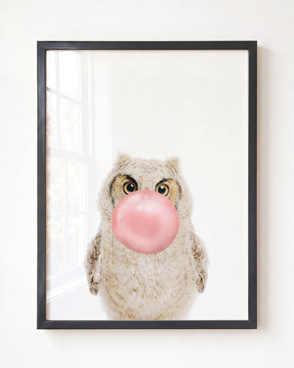 Baby Owl