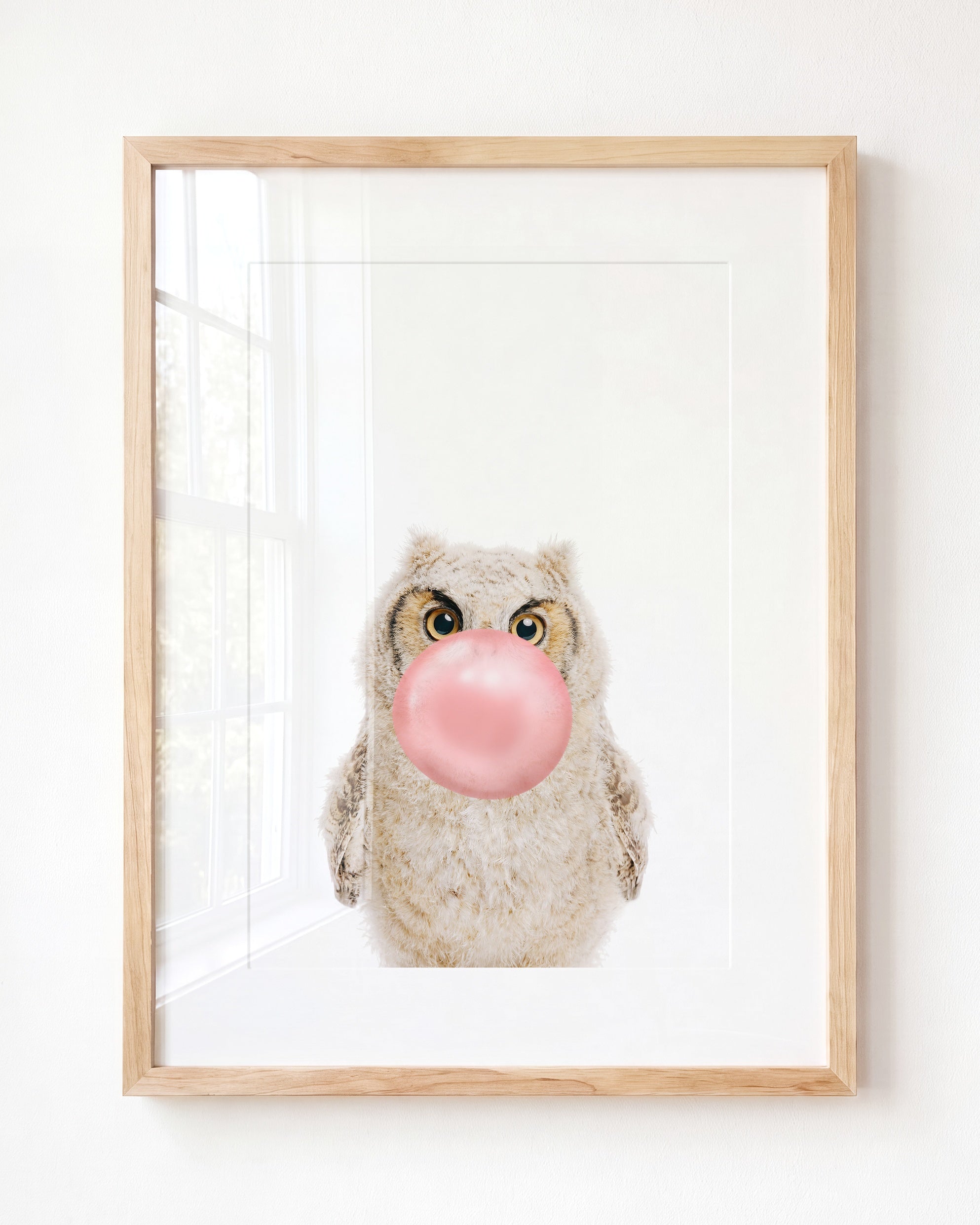 Baby Owl