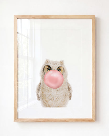 Baby Owl