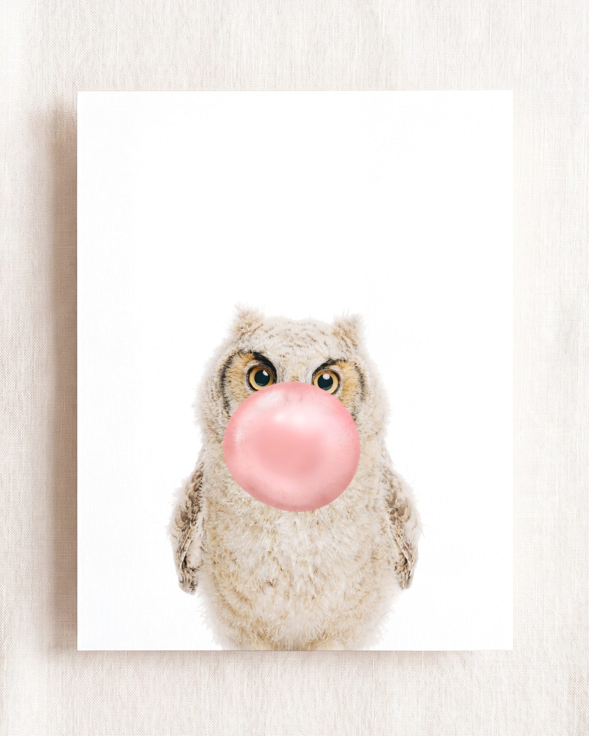 Baby Owl