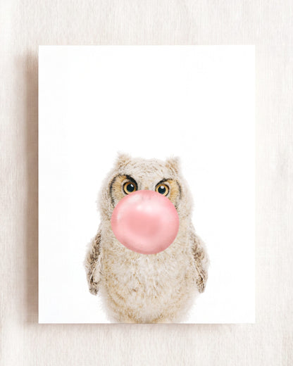 Baby Owl