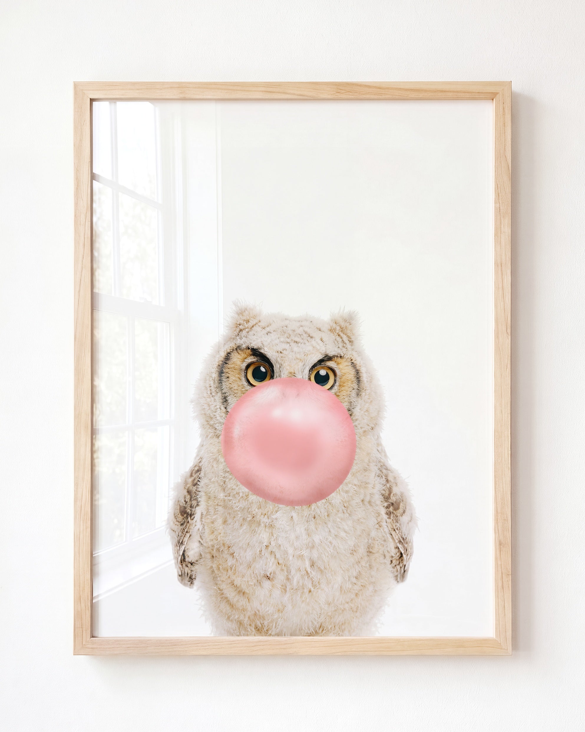 Baby Owl