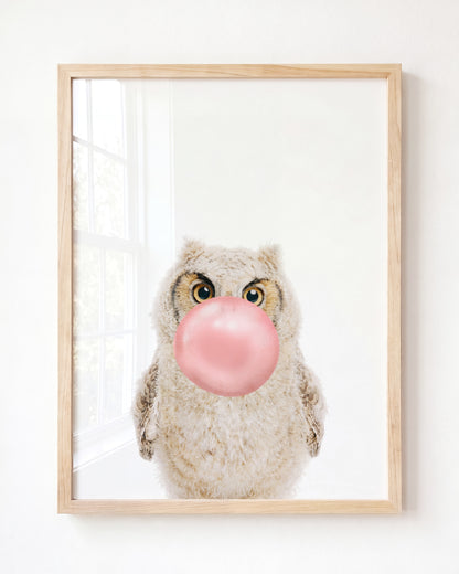 Baby Owl