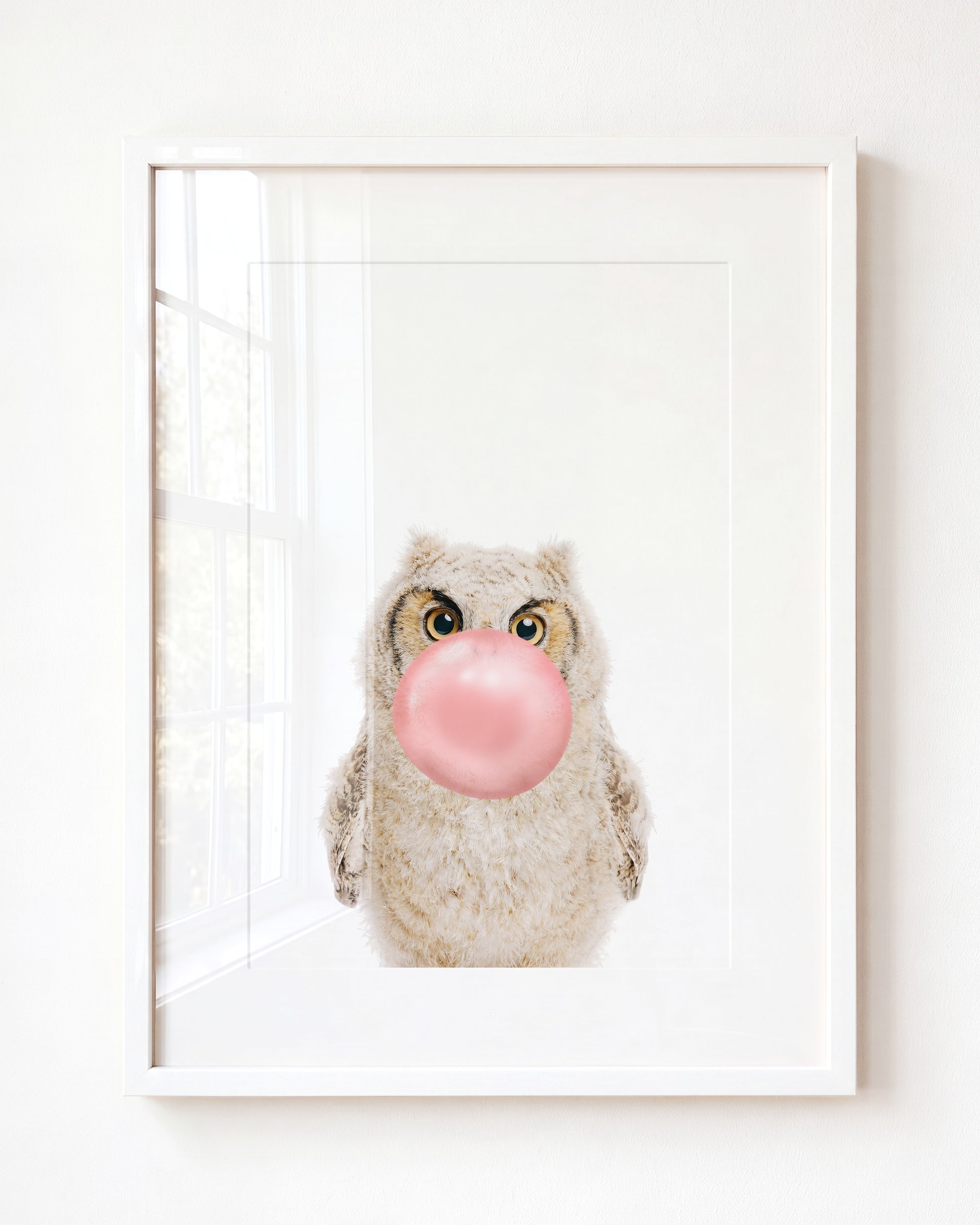 Baby Owl