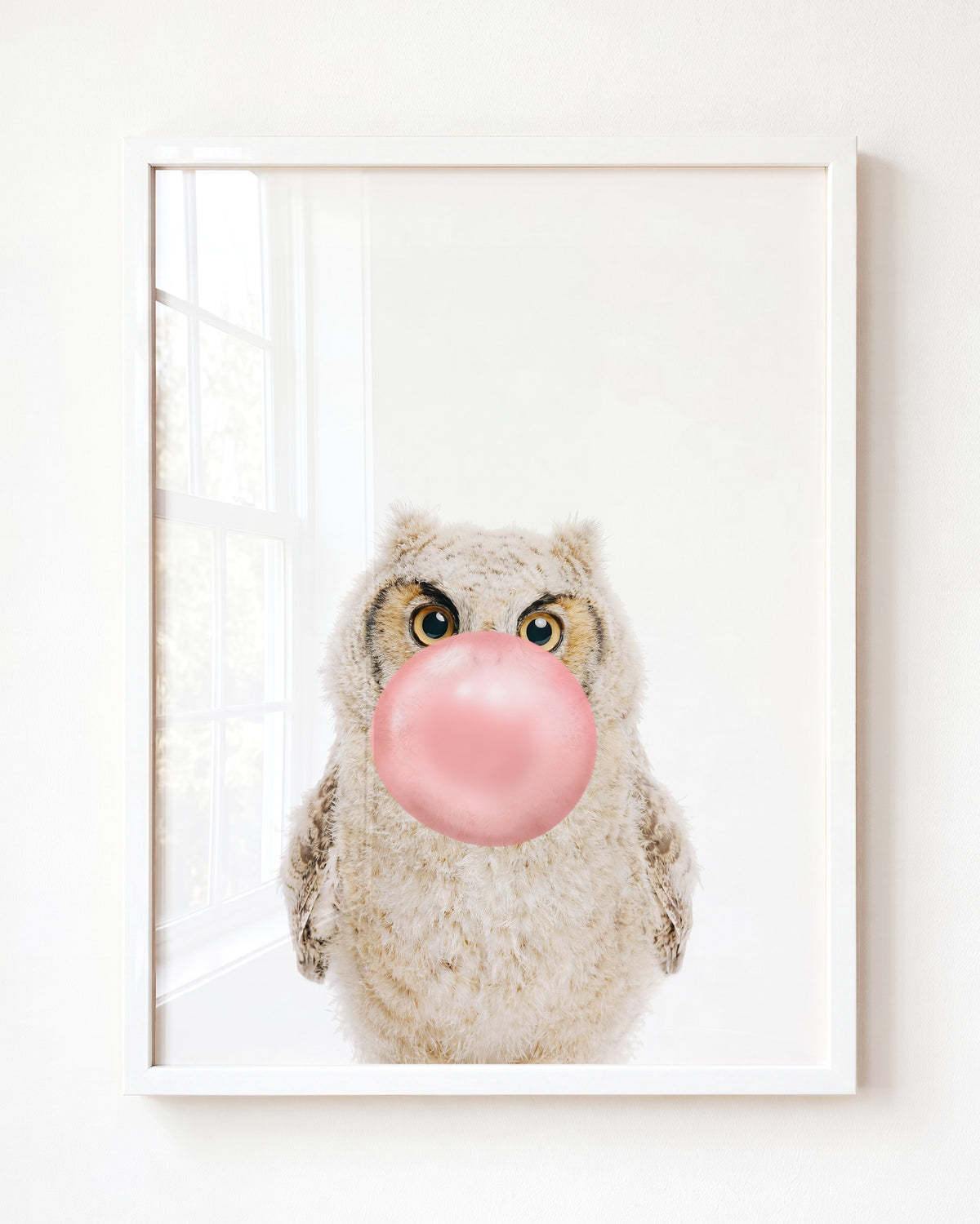 Baby Owl